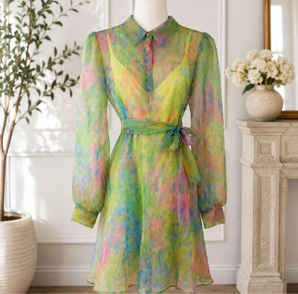 Karl Lagerfeld Paris Watercolor Floral Sheer Organza Shirt Dress Small Fit Flare